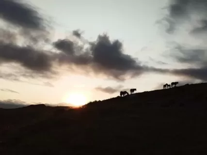 Башни Гоора и Карадахская теснина