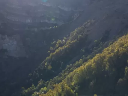 Гамсутль Чох