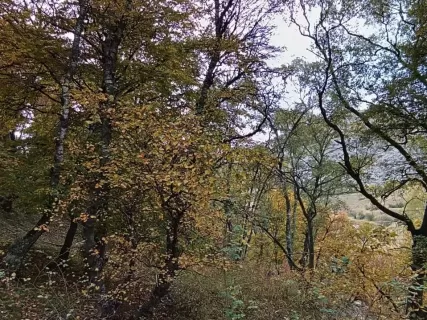 Восхождение на гору Маяк в Гунибском районе