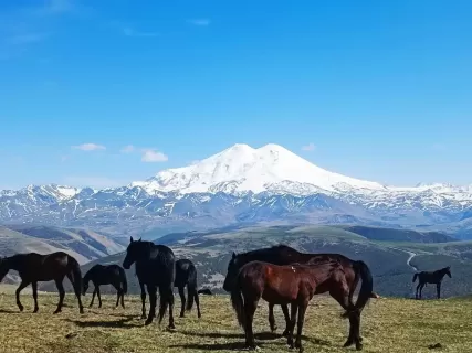 Эльбрус, Домбай, водопады и купание в термальных бассейнах.