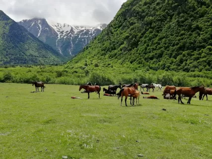 Загадки кавказских ущелий (Осетия - Ингушетия) - 6 дн/5н