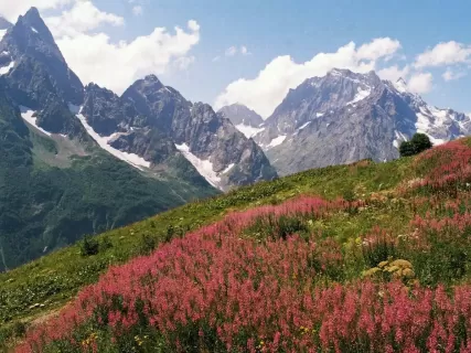 Сокровища Домбая