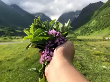 Горы Северной Осетии! 5 дней наслаждения и лучших достопримечательностей
