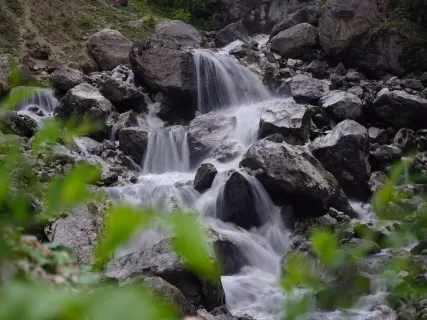 Северная Осетия и Кабардино-Балкария,Ингушетия Акция