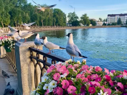 В средневековую сказку Выборга — города «трех корон»