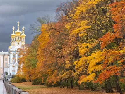 Выходные в Петербурге: Царское село. Эрмитаж