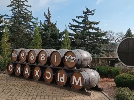 Винные открытия Геленджика и Новороссийска