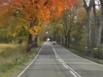 Калининград- любовь моя!