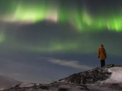Териберка, Киты, Сияние, Баня, Крабы. Выбирай тур правильно!