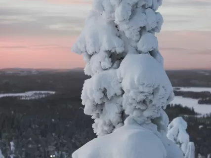 Из Мурманска в Кандалакшу — на Белое море!