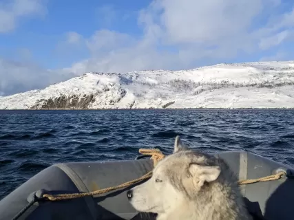 Дикий пляж, скалы и морские обитатели.