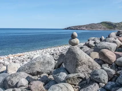 Арктическое лето