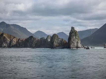 Быстрая камчатка