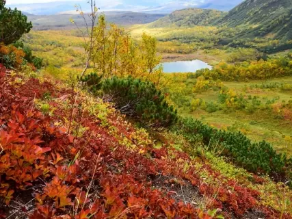 Золотая Камчатка