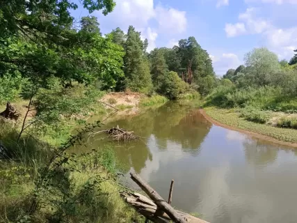 Сплав по реке Киржач (Владимирская обл.) на байдарках, 2 дня
