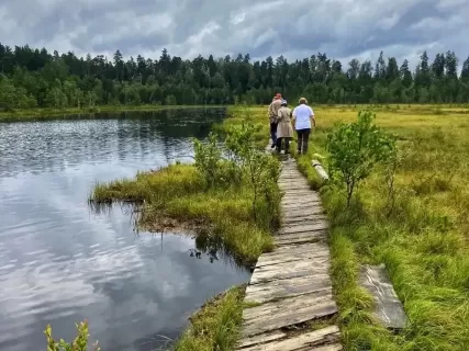 Звенигородский заказник и карьер Сима. Однодневный поход в Подмосковье