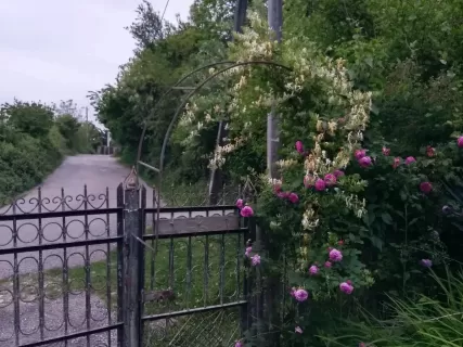 Коммуна русских идеалистов и мистика Абхазии!